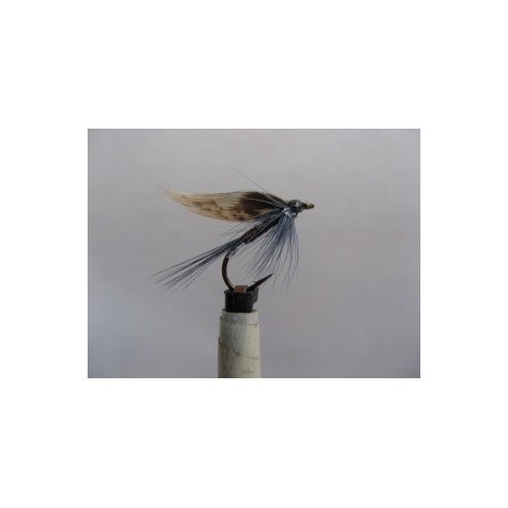 Wets mallochs favourite wet $2.34