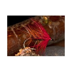 Wets PaisleyBumble $2.34