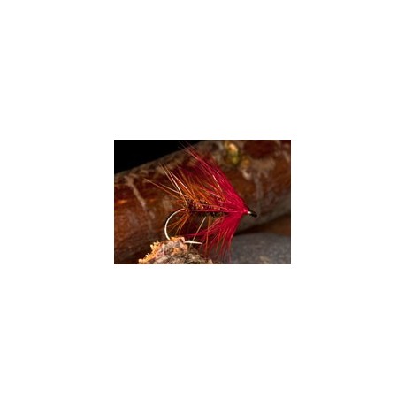 Wets PaisleyBumble $2.34