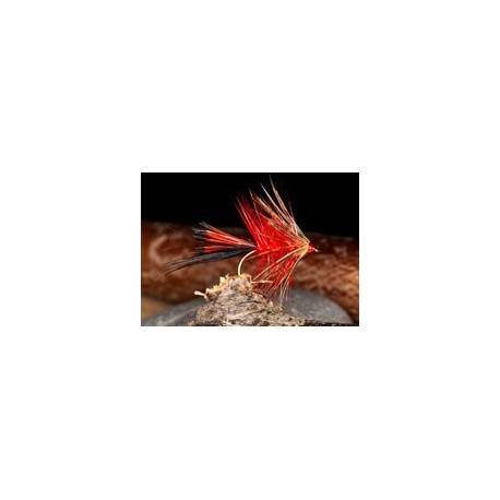 Wets HamelsSpiderB $2.34
