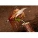Wets GreenPeter $2.34