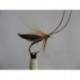 Wets murrough brown wet $2.34
