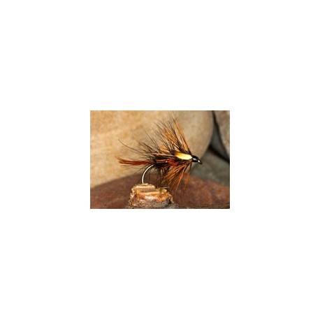 Wets OrangeBibio $2.34
