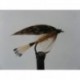 Wets grouse and orange wet $2.34