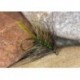 Wets SlimlineOliveBumble $2.34