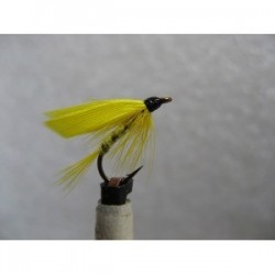 Wets yellow sally wet $2.34
