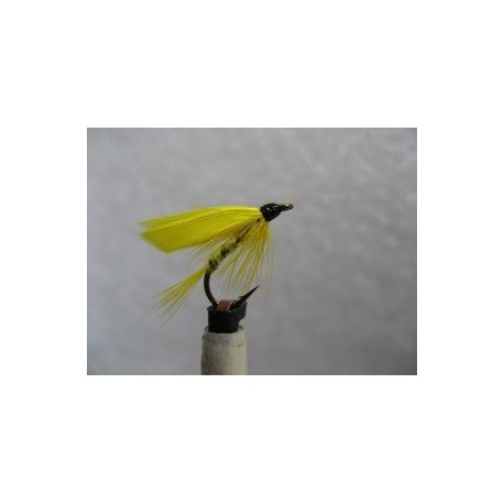 Wets yellow sally wet $2.34
