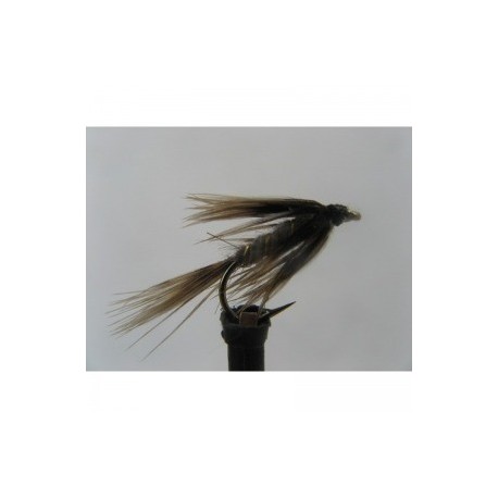 Wets march brown spider wet $2.34