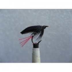 Wets butcher twinkle wet $2.34