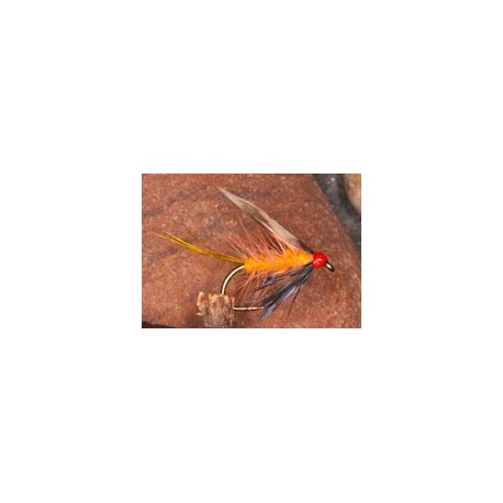 Wets OrkneyPeachInvicta $2.34