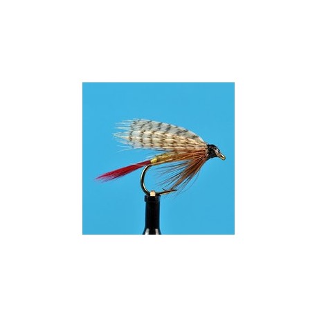 Wets Professor Wet Fly $2.34