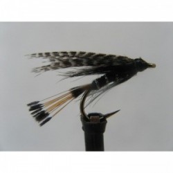 Wets teal and black wet $2.34