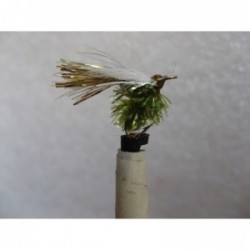 Wets abortion olive $2.34