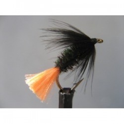 Wets black peacock spider variant wet $2.34
