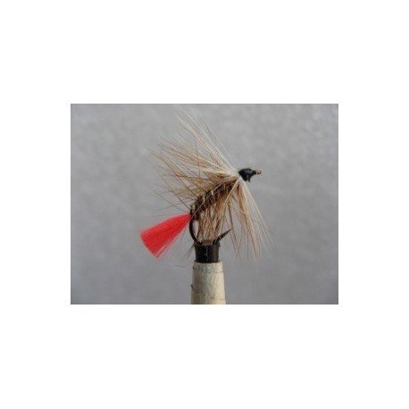 Wets wattan warrior wet $2.34