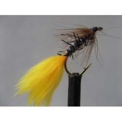 Wets uv kate mclaren sunburst wet $2.34
