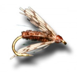Wets Pheasant Tail Soft Hackle $2.34