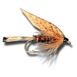 Wets Hardys Favorite Wet Fly $2.34