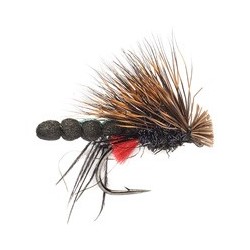 Wets fly new placeholder $2.34