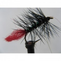 Wets zulu pearly wet $2.34