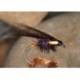 Wets JCMidge $2.34