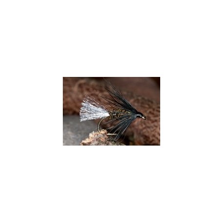 Wets WhiteTipB&PSpider $2.34