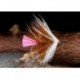 Wets PinkTailLochOrdie $2.34
