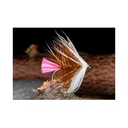 Wets PinkTailLochOrdie $2.34