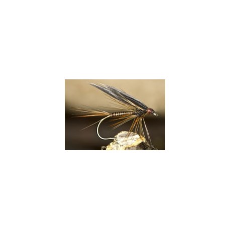 Wets Ginger Quill $2.34