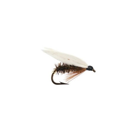 Wets Coachman $2.34