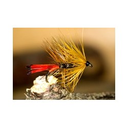 Wets CochKate $2.34