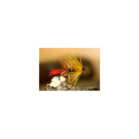 Wets CochKate $2.34