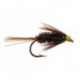 Wets Carey Spezial Peacock $2.34