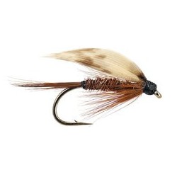 Wets Pheasant Tail Wet $2.34