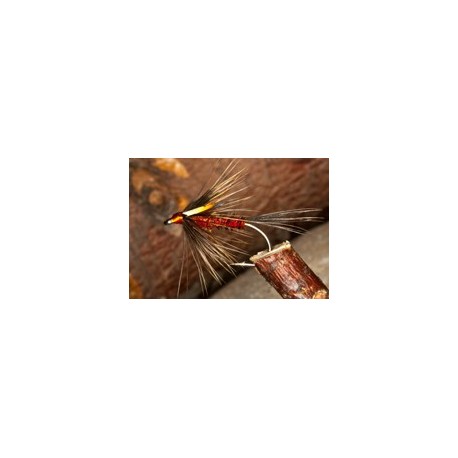 Wets CruncherFB $2.34