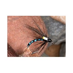 Wets IrishCormorantAqua $2.34