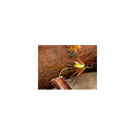 Wets CruncherPolarOlive $2.34