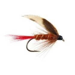 Wets Brown Red Tailed Wet $2.34