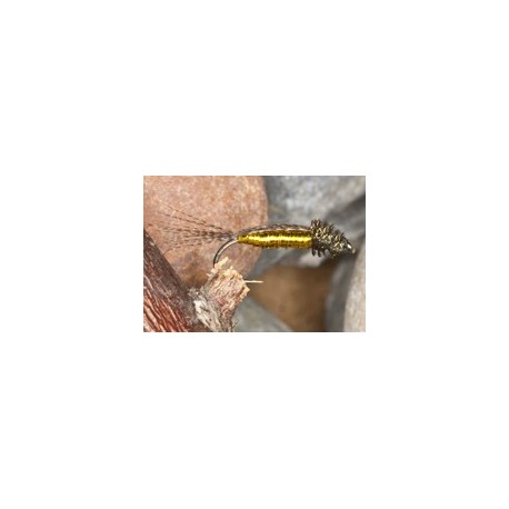 Wets GoldenGadget $2.34
