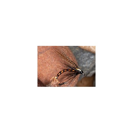 Wets IrishCormorantOrange $2.34