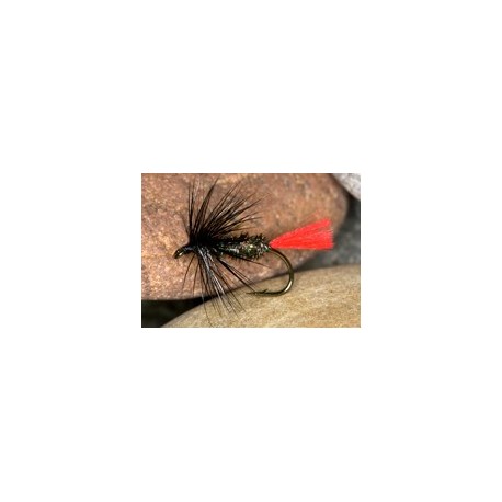 Wets PearlyZulu $2.34