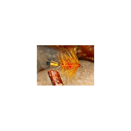 Wets GingerBibio $2.34