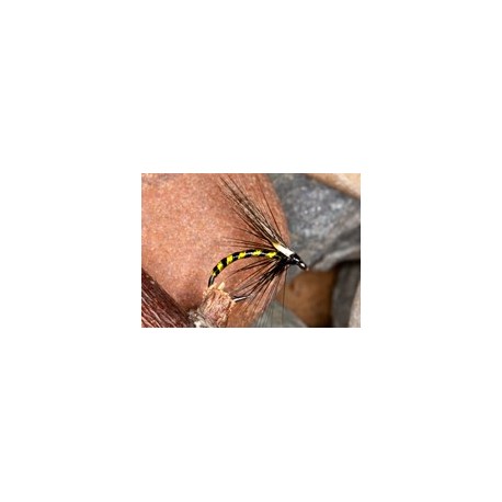 Wets IrishCormorantChartreuse $2.34