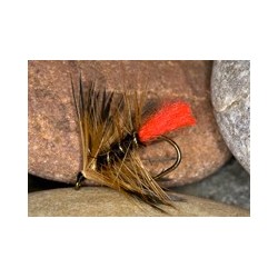 Wets CochZulu $2.34