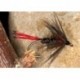Wets RedTailPennel $2.34