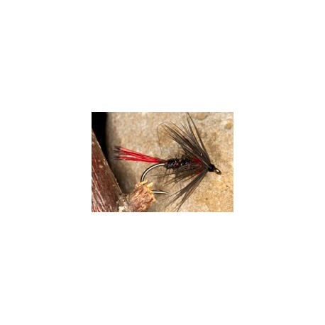 Wets RedTailPennel $2.34
