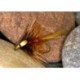 Wets fierybrown cekate $2.34