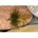 Wets SparkleSedgeAdult $2.34