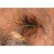 Wets MirageKate $2.34