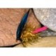Wets glitterbodgoldbutch $2.34